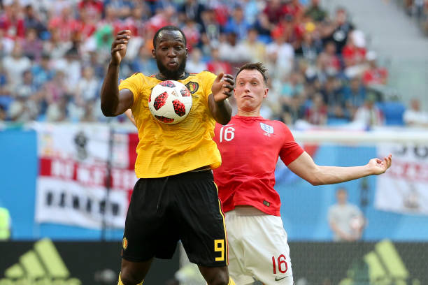 象有着清晰 象有着清晰