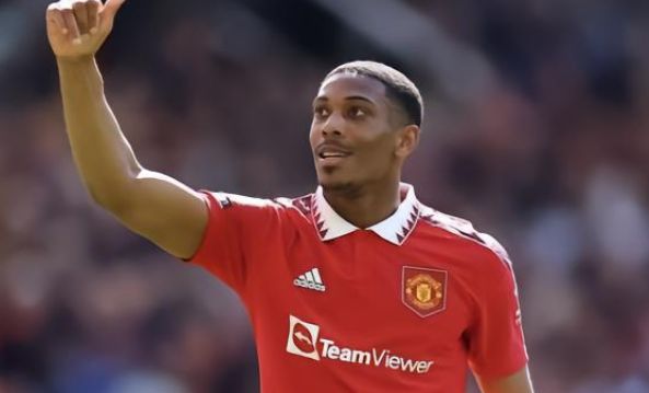 这些特点正 这些特点正